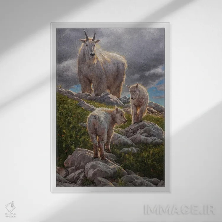 تابلو دکوراتیو پناهگاه سیراهای بلند اثر مارک مک کنا - نمای قابدار سفید