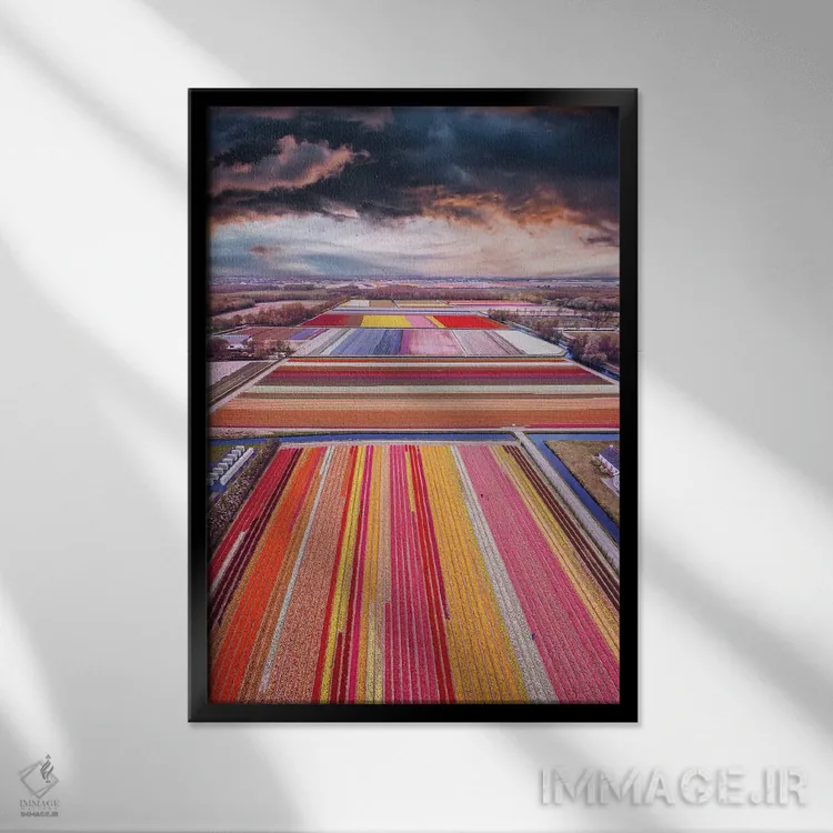 تابلو دکوراتیو میدان های بی نهایت هلند اثر هوبوپیبا - نمای قابدار مشکی