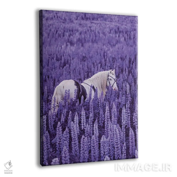 تابلو دکوراتیو "جلسه تک شاخ ها" اثر هوبوپیبا - نمای پرسپکتیو محصول