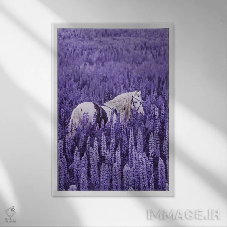 تابلو دکوراتیو "جلسه تک شاخ ها" اثر هوبوپیبا - نمای قابدار سفید