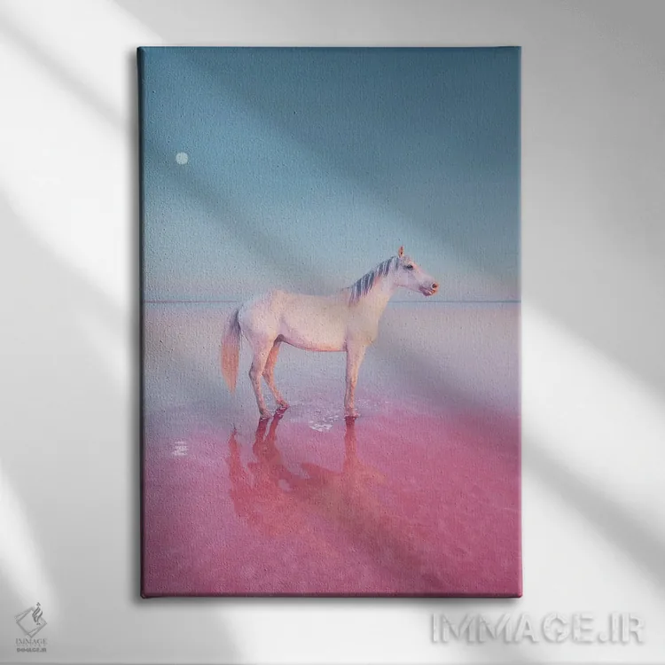 تابلو دکوراتیو "جایی که پری ها زندگی می کنند" اثر هوبوپیبا - نمای روبهرو روی دیوار