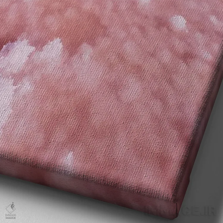 تابلو دکوراتیو "رقصنده بالرین صورتی" اثر هوبوپیبا - نمای نزدیک بافت بوم