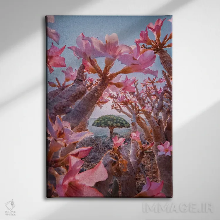 تابلو دکوراتیو "فصل شکوفه دادن در سقطرا" اثر هوبوپیبا - نمای روبهرو روی دیوار