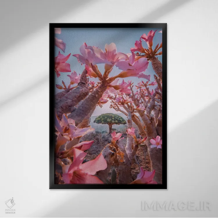 تابلو دکوراتیو "فصل شکوفه دادن در سقطرا" اثر هوبوپیبا - نمای قابدار مشکی