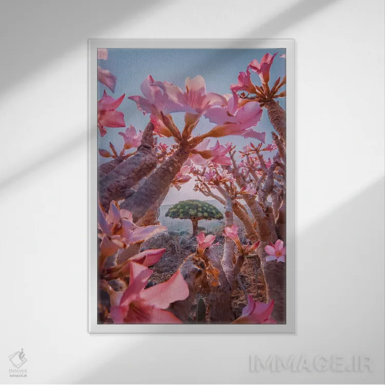 تابلو دکوراتیو "فصل شکوفه دادن در سقطرا" اثر هوبوپیبا - نمای قابدار سفید