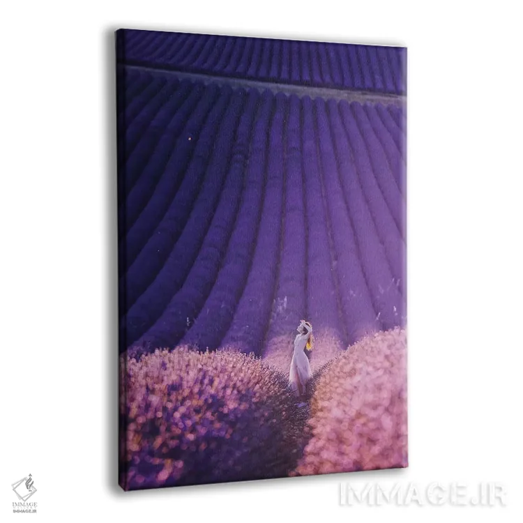 تابلو دکوراتیو "مزرعه اسطوخودوس" اثر هوبوپیبا - نمای پرسپکتیو محصول