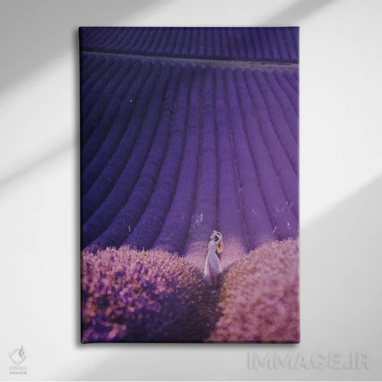 تابلو دکوراتیو "مزرعه اسطوخودوس" اثر هوبوپیبا - نمای روبهرو روی دیوار