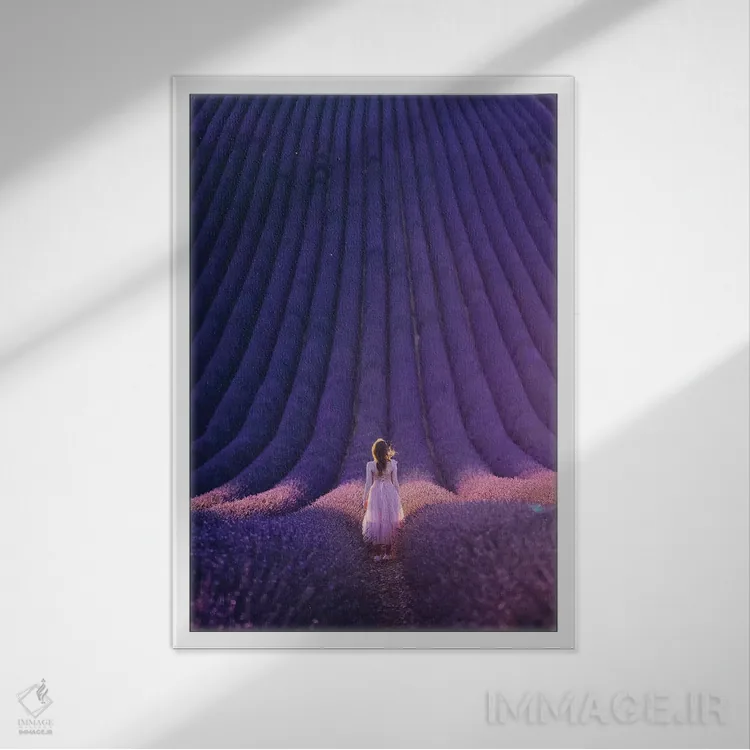 تابلو دکوراتیو "شروع اسطوخودوس" اثر هوبوپیبا - نمای قابدار سفید