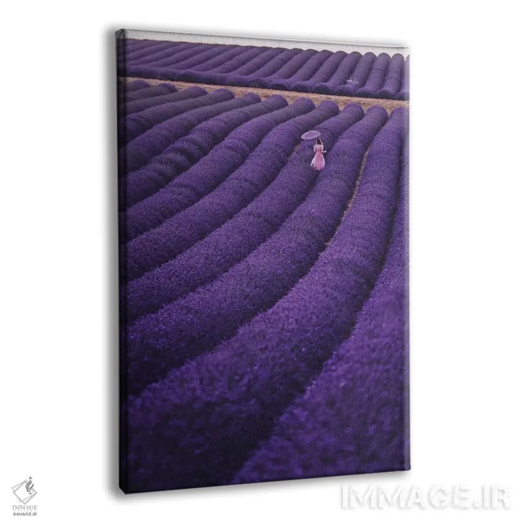 تابلو دکوراتیو "خواب های اسطوخودوس" اثر هوبوپیبا - نمای پرسپکتیو محصول