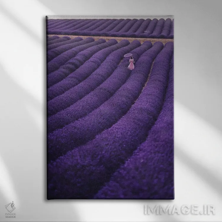 تابلو دکوراتیو "خواب های اسطوخودوس" اثر هوبوپیبا - نمای روبهرو روی دیوار