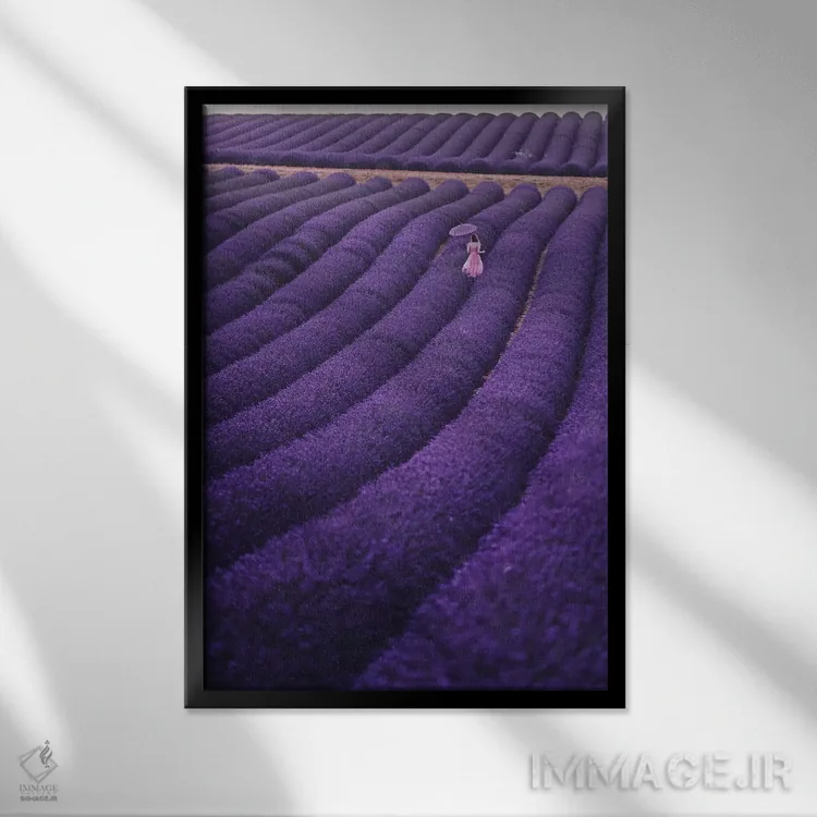 تابلو دکوراتیو "خواب های اسطوخودوس" اثر هوبوپیبا - نمای قابدار مشکی