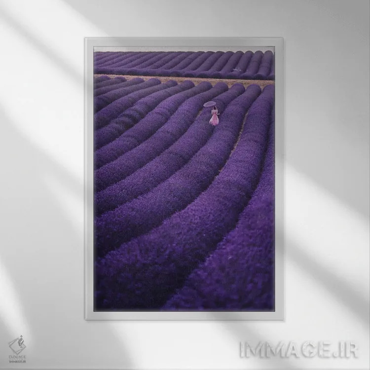 تابلو دکوراتیو "خواب های اسطوخودوس" اثر هوبوپیبا - نمای قابدار سفید