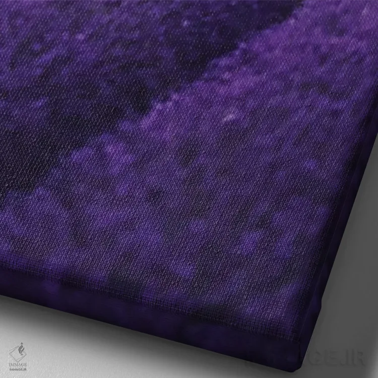 تابلو دکوراتیو "خواب های اسطوخودوس" اثر هوبوپیبا - نمای نزدیک بافت بوم