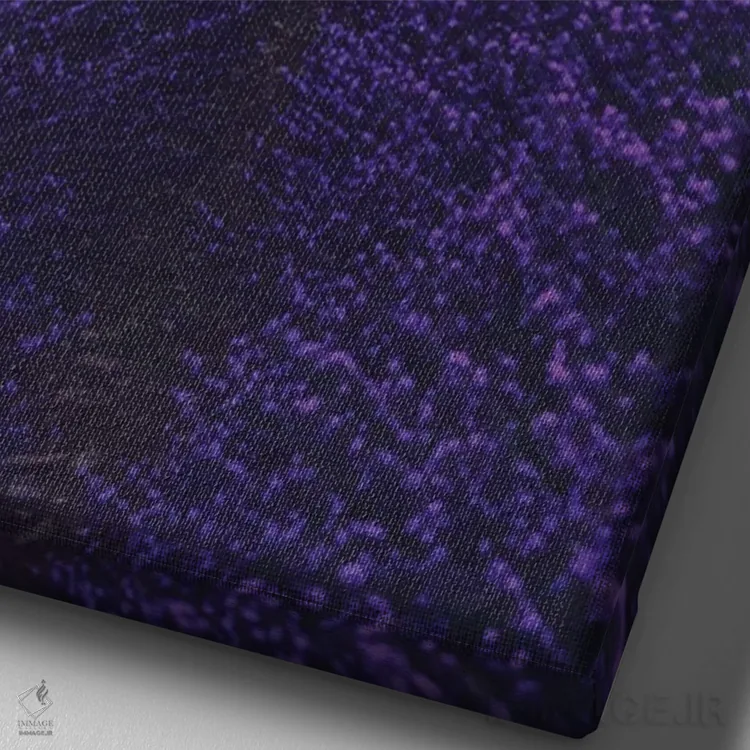 تابلو دکوراتیو "اسطوخودوس فرانسه" اثر هوبوپیبا - نمای نزدیک بافت بوم