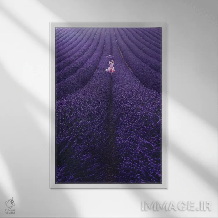 تابلو دکوراتیو "اسطوخودوس فرانسه" اثر هوبوپیبا - نمای قابدار سفید