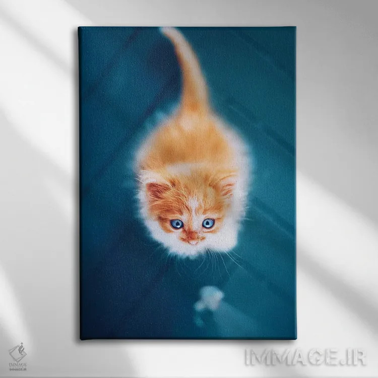 تابلو دکوراتیو "ترسناک گربه ای" اثر هوبوپیبا - نمای روبهرو روی دیوار