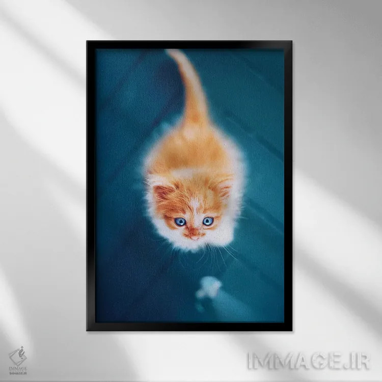 تابلو دکوراتیو "ترسناک گربه ای" اثر هوبوپیبا - نمای قابدار مشکی