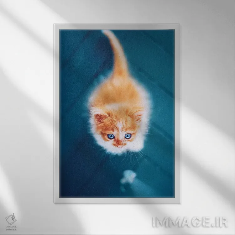 تابلو دکوراتیو "ترسناک گربه ای" اثر هوبوپیبا - نمای قابدار سفید