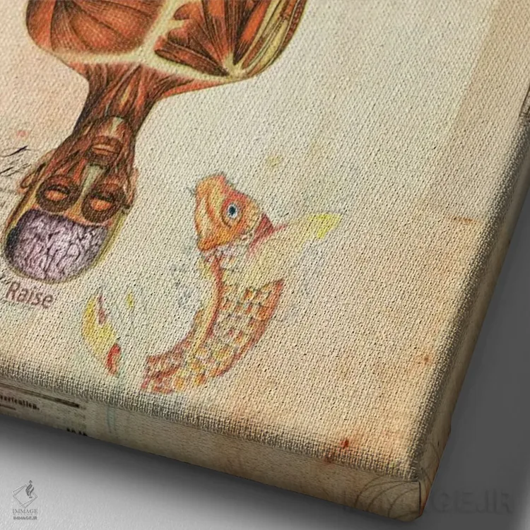 تابلو دکوراتیو "۱+۱" اثر مارسل لیسبوا - نمای نزدیک بافت بوم