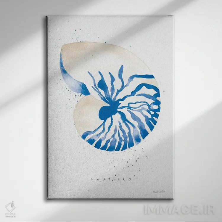 تابلو دکوراتیو "نوتیلوس" اثر مرسدس لوپز چارو - نمای روبهرو روی دیوار