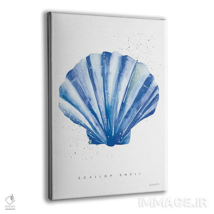 تابلو دکوراتیو "صدف اسکالوپ" اثر مرسدس لوپز چارو - نمای پرسپکتیو محصول