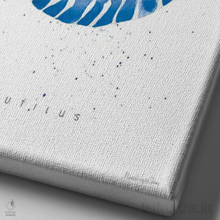 تابلو دکوراتیو "نوتیلوس" اثر مرسدس لوپز چارو - نمای نزدیک بافت بوم