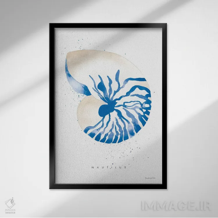 تابلو دکوراتیو "نوتیلوس" اثر مرسدس لوپز چارو - نمای قابدار مشکی