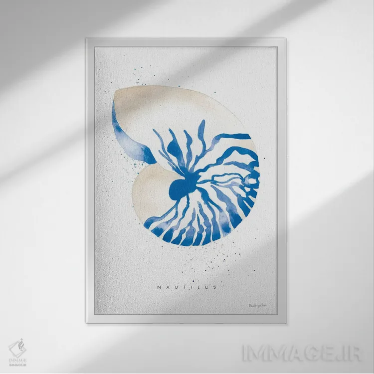 تابلو دکوراتیو "نوتیلوس" اثر مرسدس لوپز چارو - نمای قابدار سفید