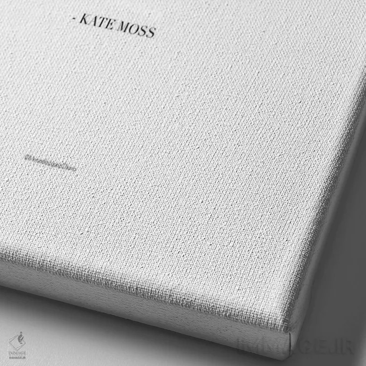 تابلو مینیمال "فقط به اندازه شیک" اثر مرسدس لوپز چارو - نمای نزدیک بافت بوم