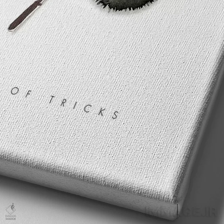 تابلو دکوراتیو "کیسه ای از حقه ها" اثر مرسدس لوپز چارو - نمای نزدیک بافت بوم