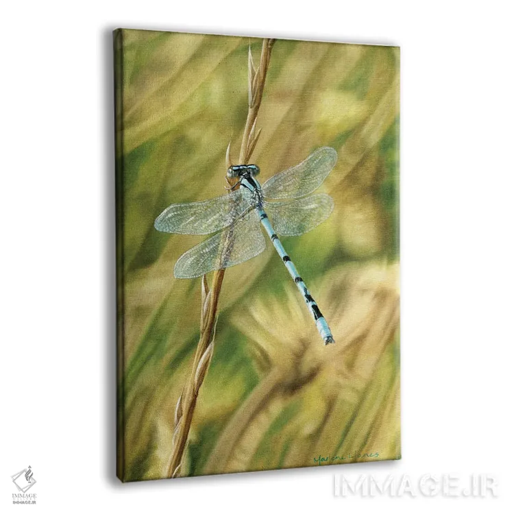 تابلو دکوراتیو "اجازه بده بال هایت را قرض بگیرم " اثر مارلن ژانس - نمای پرسپکتیو محصول