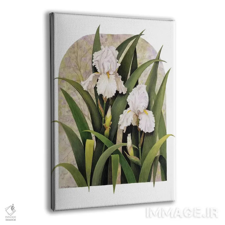 تابلو دکوراتیو "تصویر گل زنبق" اثر مارسیا مچم - نمای پرسپکتیو محصول