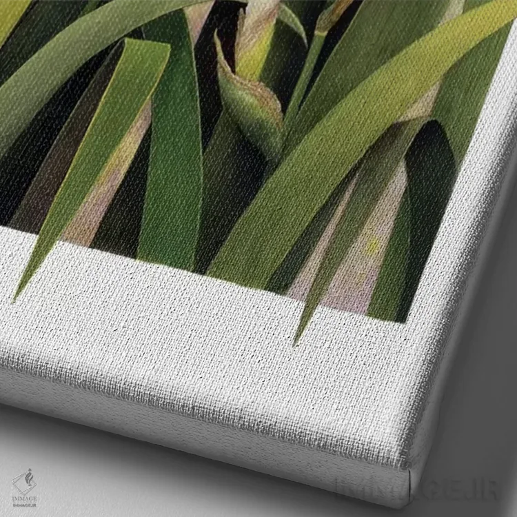 تابلو دکوراتیو "تصویر گل زنبق" اثر مارسیا مچم - نمای نزدیک بافت بوم