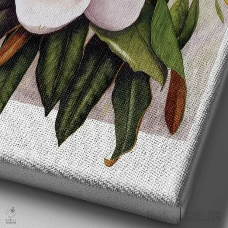 تابلو دکوراتیو "تصویر مگنولیا" اثر مارسیا مچم - نمای نزدیک بافت بوم
