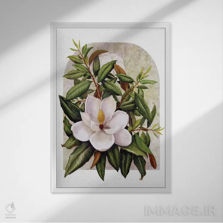 تابلو دکوراتیو "تصویر مگنولیا" اثر مارسیا مچم - نمای قابدار سفید