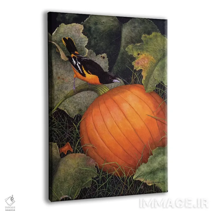 تابلو دکوراتیو "مرغ طلایی و کدو" اثر مارسیا مچم - نمای پرسپکتیو محصول
