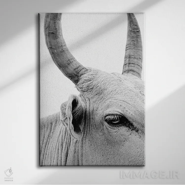 تابلو دکوراتیو پرتره گاو نر اثر مارک مکلارن جانسون - نمای روبهرو روی دیوار