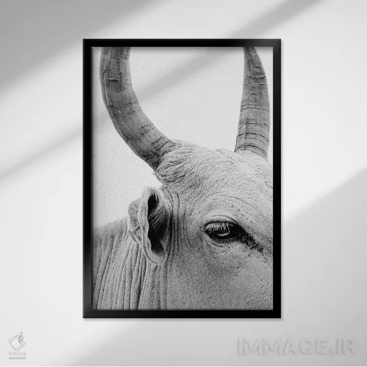 تابلو دکوراتیو پرتره گاو نر اثر مارک مکلارن جانسون - نمای قابدار مشکی