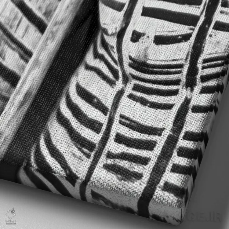 تابلو دکوراتیو قبیله اول اثر مارک مکلارن جانسون - نمای نزدیک بافت بوم