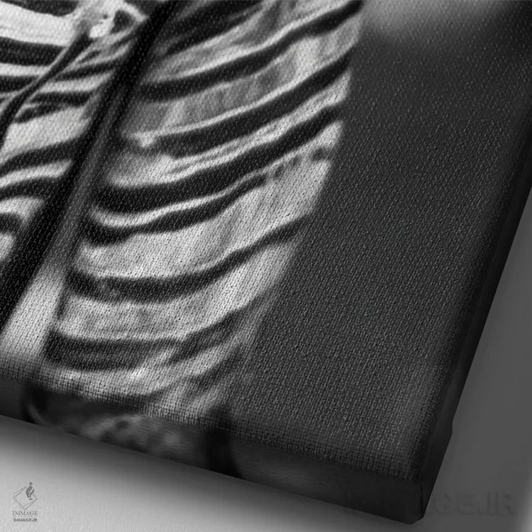 تابلو دکوراتیو قبیله دوم اثر مارک مکلارن جانسون - نمای نزدیک بافت بوم