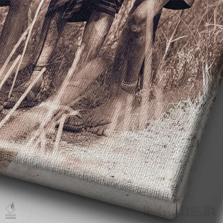 تابلو دکوراتیو برادران مورسی اثر مارک مکلارن جانسون - نمای نزدیک بافت بوم