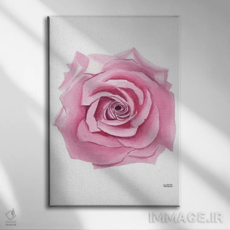 تابلو دکوراتیو گل رز صورتی آبرنگ اثر میشل موسپنس - نمای روبهرو روی دیوار