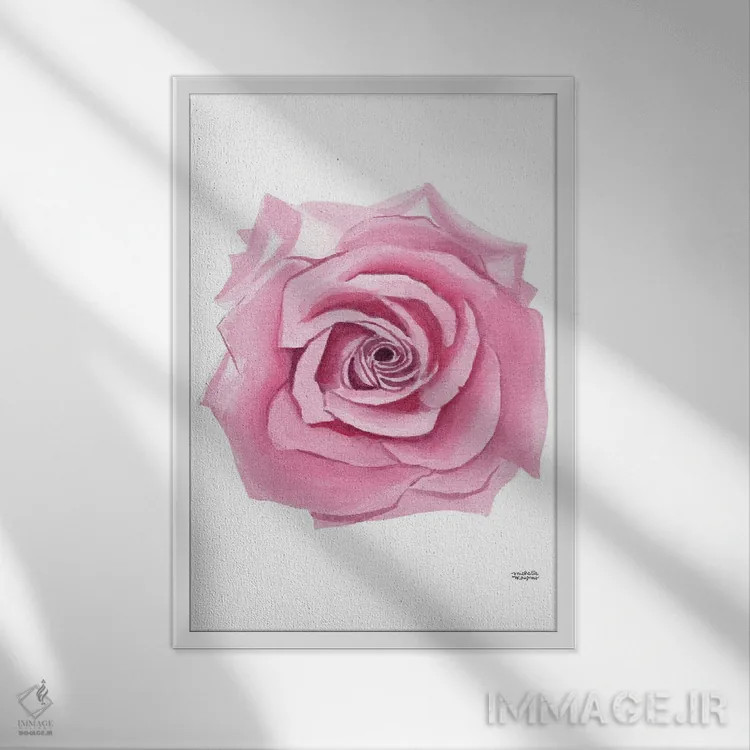 تابلو دکوراتیو گل رز صورتی آبرنگ اثر میشل موسپنس - نمای قابدار سفید