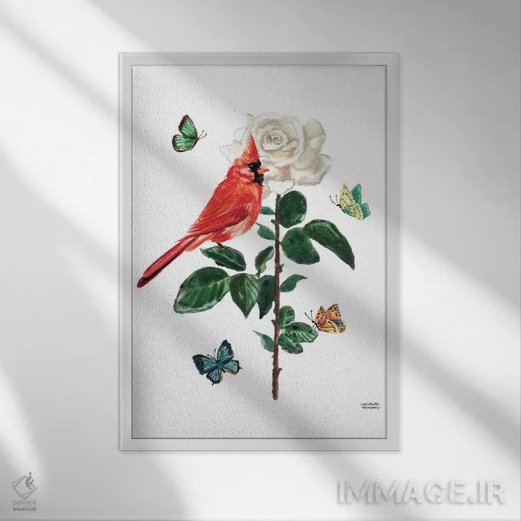 تابلو دکوراتیو پرنده کارباورال و گل رز آبرنگ اثر میشل موسپنس - نمای قابدار سفید