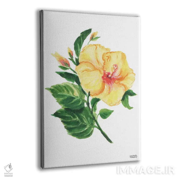 تابلو دکوراتیو هیبیسکوس گیاهی آبرنگ اثر میشل موسپنس - نمای پرسپکتیو محصول