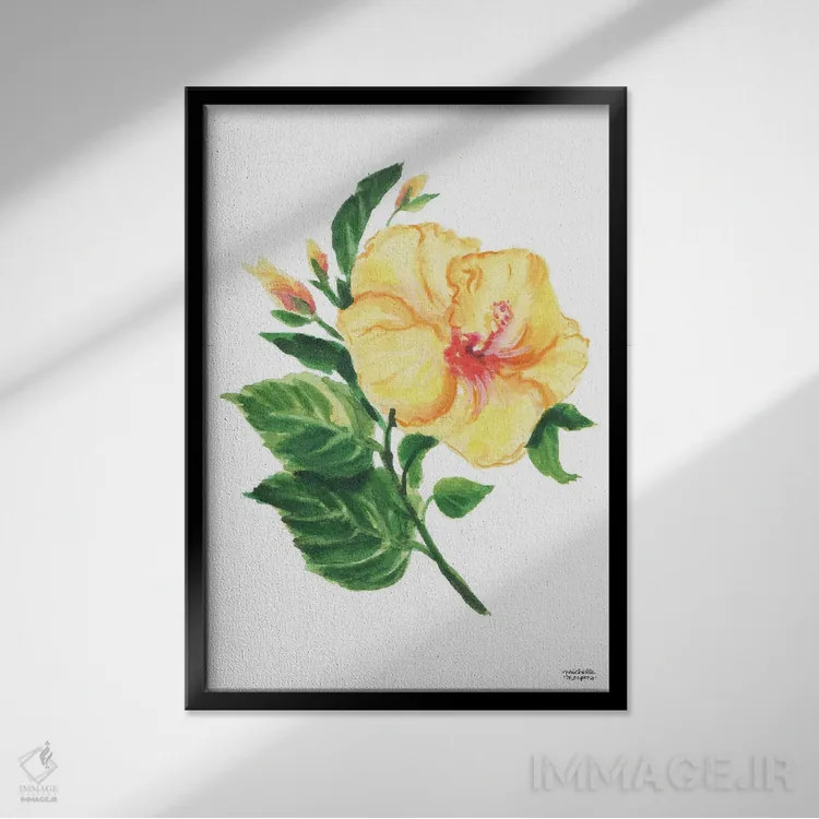 تابلو دکوراتیو هیبیسکوس گیاهی آبرنگ اثر میشل موسپنس - نمای قابدار مشکی