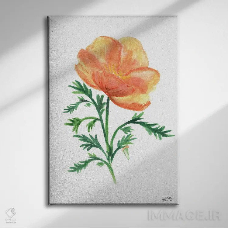 تابلو دکوراتیو گل خشخاش طلایی کالیفرنیا آبرنگ اثر میشل موسپنس - نمای روبهرو روی دیوار