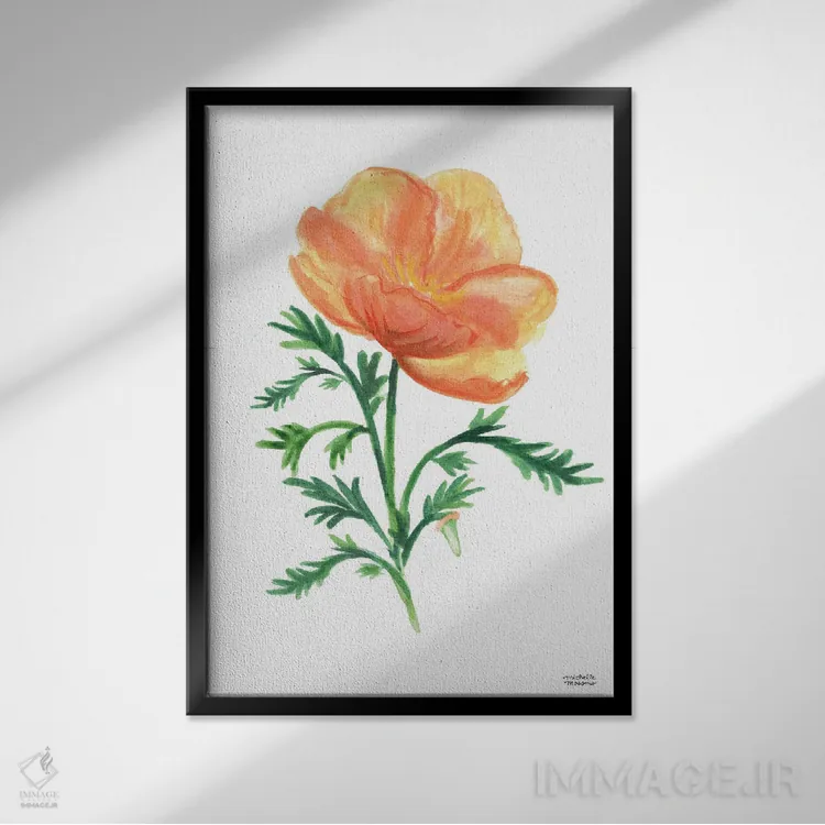 تابلو دکوراتیو گل خشخاش طلایی کالیفرنیا آبرنگ اثر میشل موسپنس - نمای قابدار مشکی