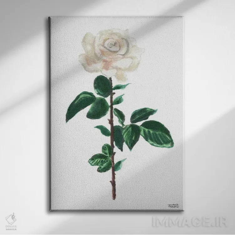 تابلو دکوراتیو گل رز سفید آبرنگ اثر میشل موسپنس - نمای روبهرو روی دیوار