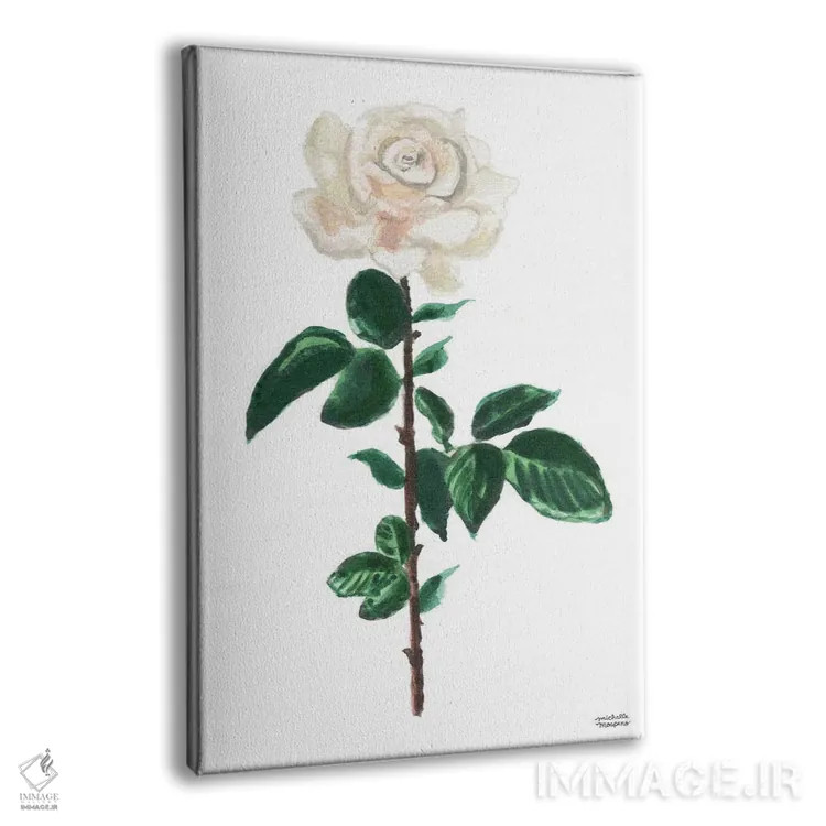 تابلو دکوراتیو گل رز سفید آبرنگ اثر میشل موسپنس - نمای پرسپکتیو محصول